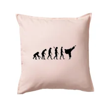 Karate Evoluce - kop