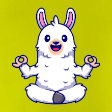 Yoga meditace - lama