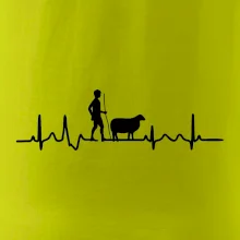 Ekg pastevec ovcí