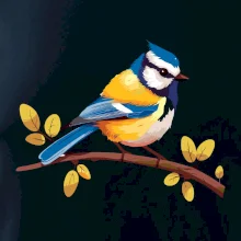 Sýkorka modřinka kreslená