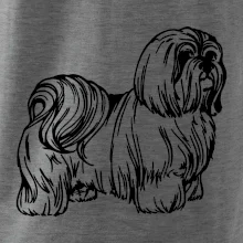 Shih-tzu - chlupatý