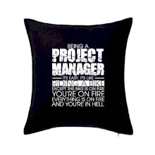 Being A Project Manager - bike