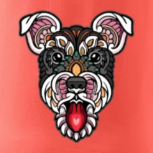 Knírač hlava barevná