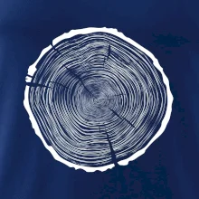 Letokruhy 85 bez věku