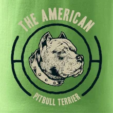 Americký pitbull terier hlava
