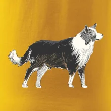 Border kolie kreslená