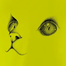 Kočičí oči černé