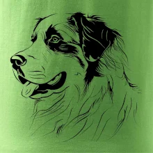 Bernský salašnický pes černá kresba