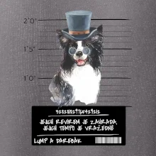 Lump a darebák border kolie