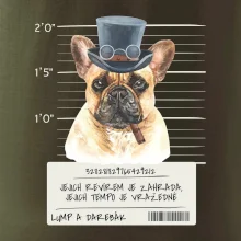 Lump a darebák francouzský buldoček