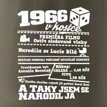 1966 v kostce