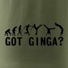 Capoeira - Got Ginga