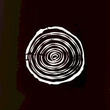 Letokruhy 10 bez věku