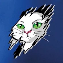 Kočka v roztrženém triku