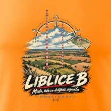 Liblice B vysílače v české krajině