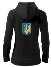 Ukrajinské logo barevné malé