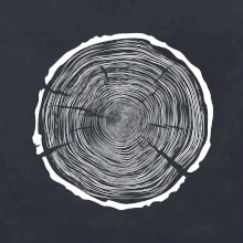 Letokruhy 100 bez věku