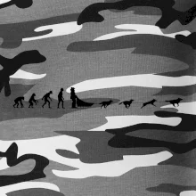 Evoluce psí spřežení