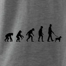 Lagotto romagnolo Evoluce muž / žena