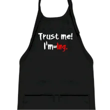 Trust me I´m an Ing. / Věř mi jsem Ing. Trust me I´m an Ing. / Věř mi jsem Ing.