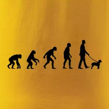 Lagotto romagnolo Evoluce muž / žena