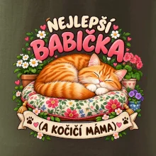 Nejlepší babička a kočičí máma spící zrzavý kocour