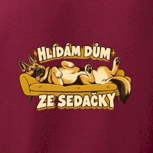 Hlídám dům ze sedačky - vlčák