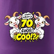Těmhle holkám je 70, čučíš co?