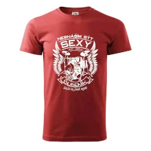 Nesnáším být sexy - bubeník