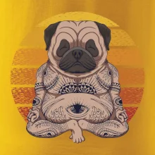 Yoga meditace - pug