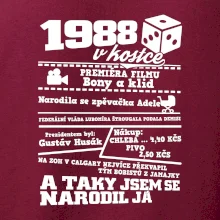 1988 v kostce