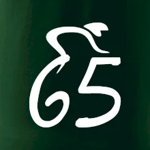 Cyklista slaví pětašedesátku (65)