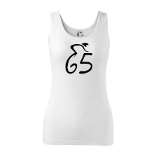 Cyklista slaví pětašedesátku (65)