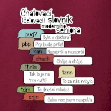 Chatovací slovník moderního seniora (Běžící češtinář)