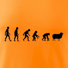Evoluce ovce
