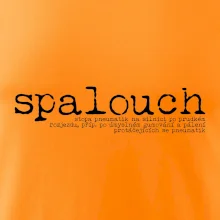 Čeština 2.0 - spalouch