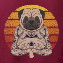 Yoga meditace - pug