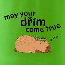 May your dřím come true