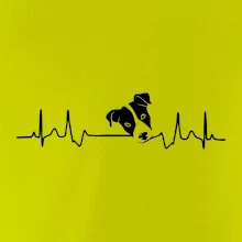 Jack Russell Terriér  - hlava