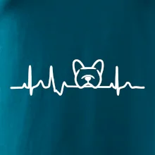 EKG Francouzský buldoček hlava