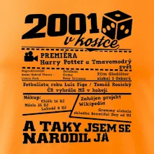 2001 v kostce