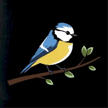 Sýkorka modřinka na větvi