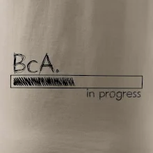 In progress  titul BcA. bakalář / bakalářka umění