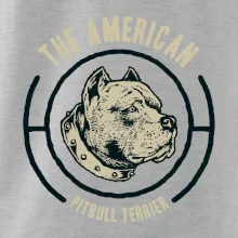 Americký pitbull terier hlava