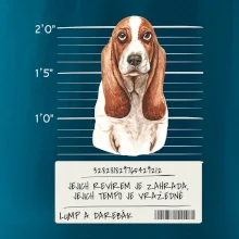 Baset - lump a darebák