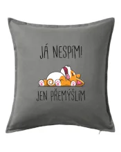 Já nespím, jen přemýšlím