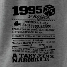 1995 v kostce