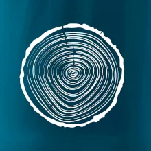 Letokruhy 20 bez věku