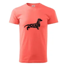 Jezevčík - Dachshund