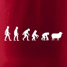 Evoluce ovce Evoluce ovce